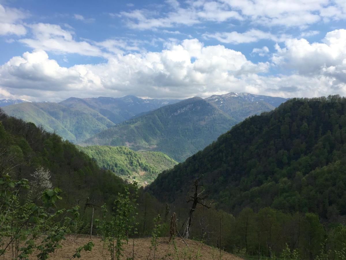 In Mountains