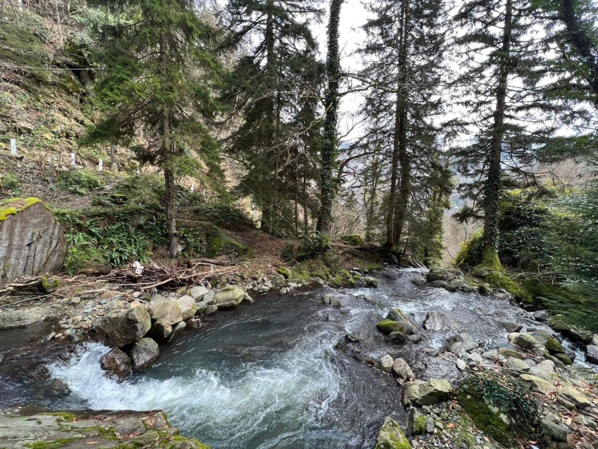 In Mountains